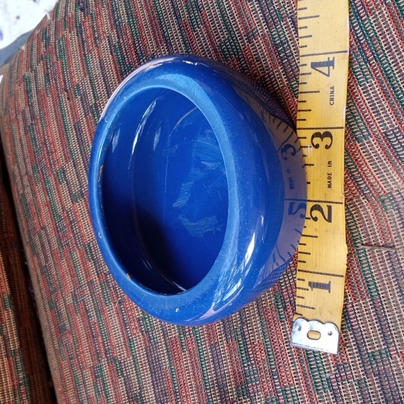 Generic Meal Worm Feeding Dishes. - Picture 4 of 7